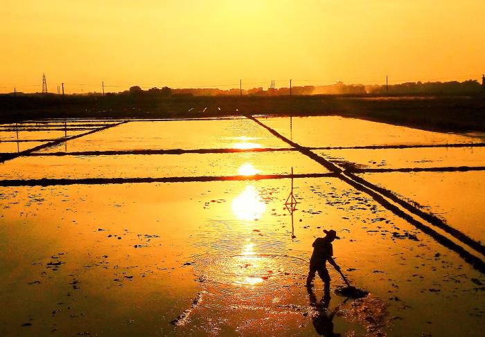 5摄影文章《耕作》获三等奖。韦荣伟 摄-13768307144700.jpg