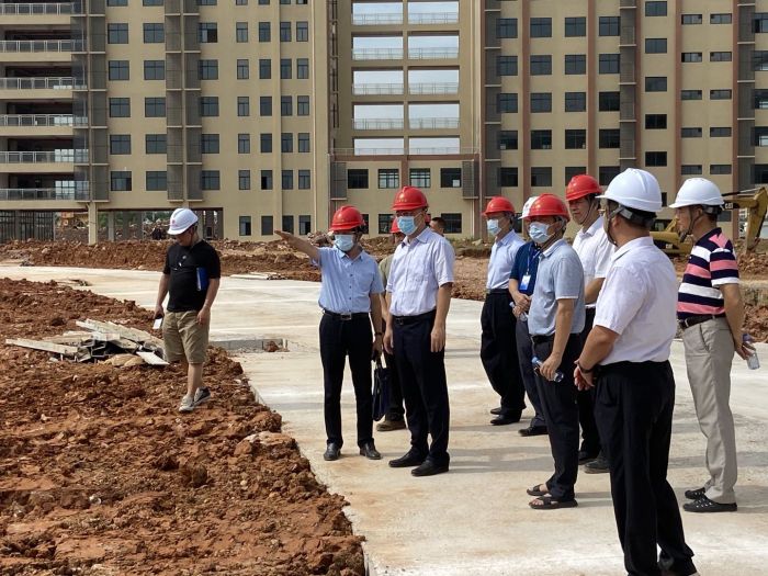 调研现场。韦艳兰 摄.jpg