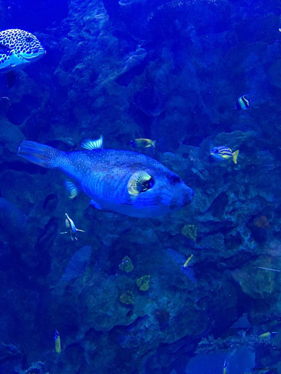 NG28·(南宫)相信品牌实力官网