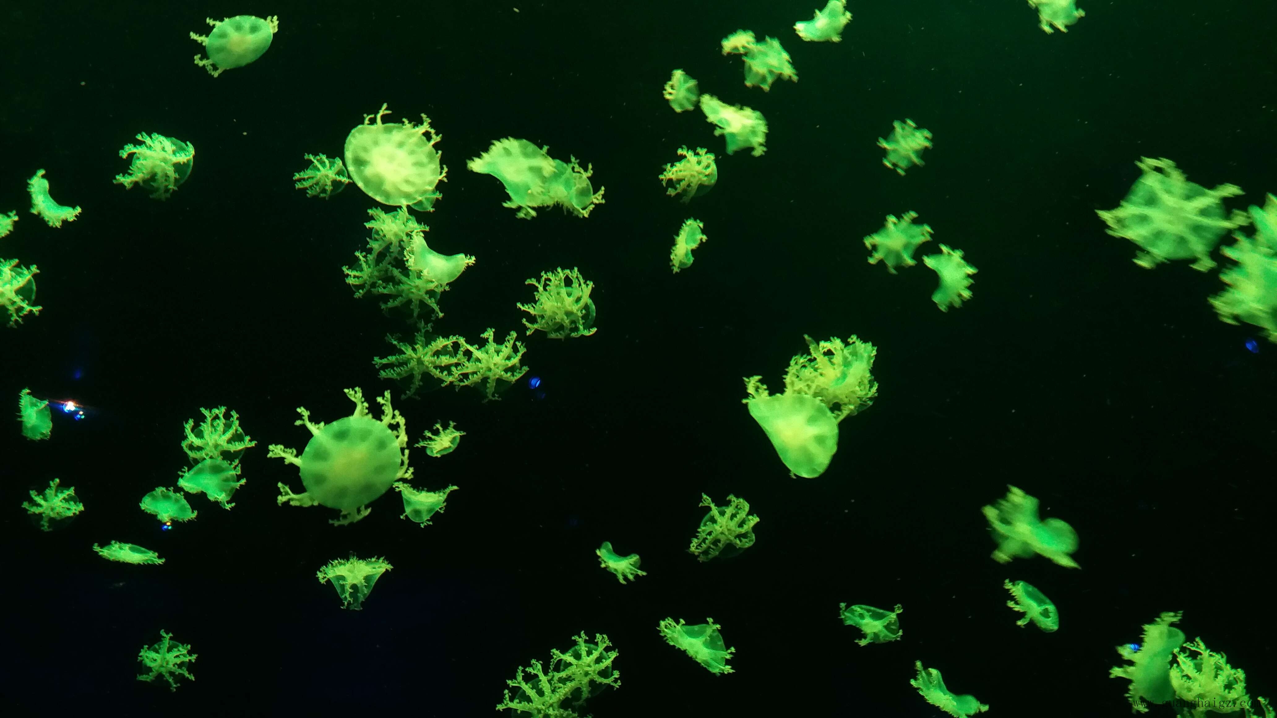 NG28·(南宫)相信品牌实力官网