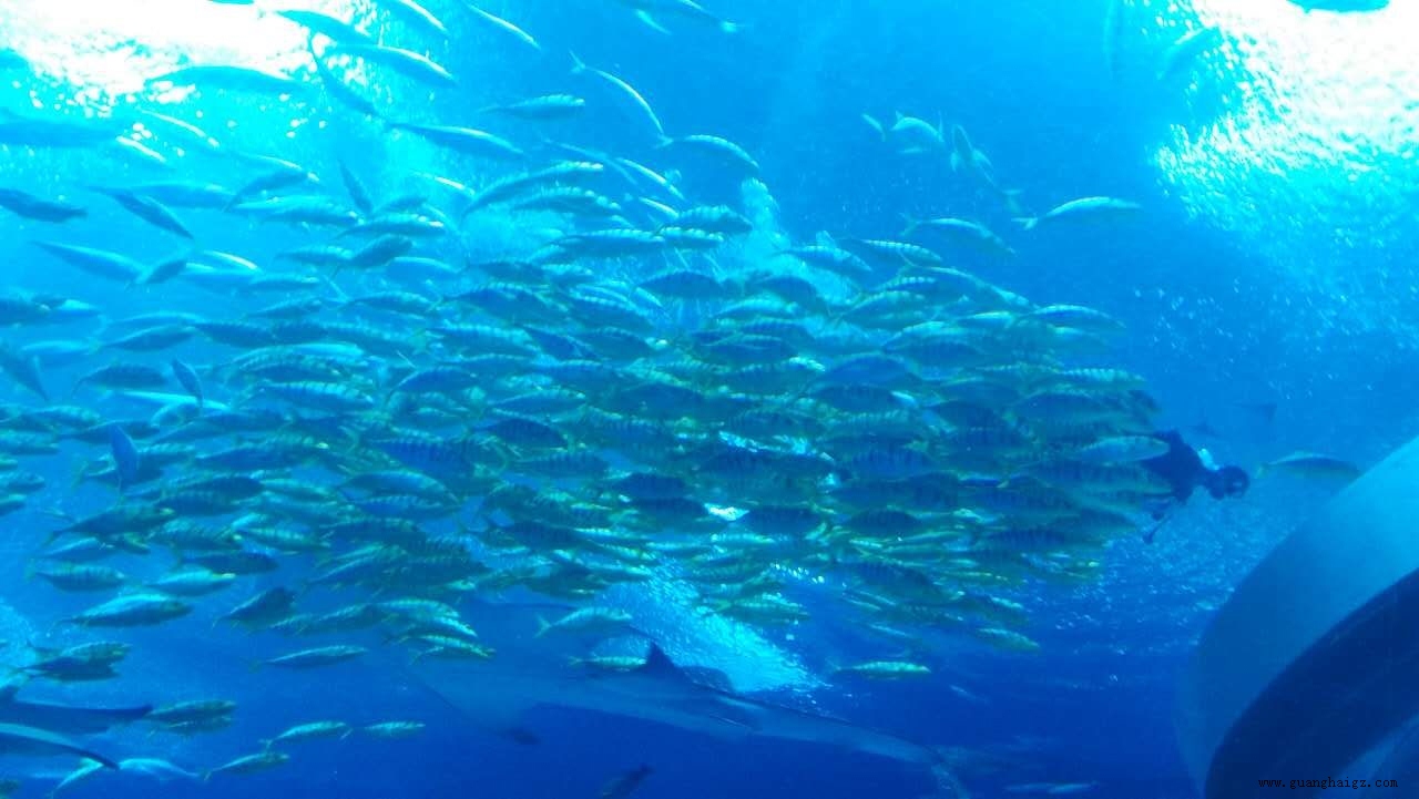 NG28·(南宫)相信品牌实力官网