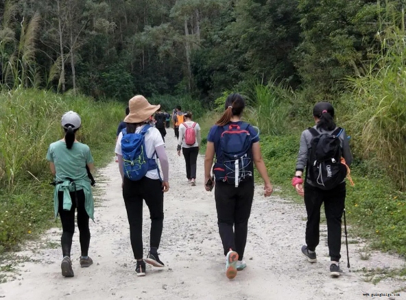 NG28·(南宫)相信品牌实力官网