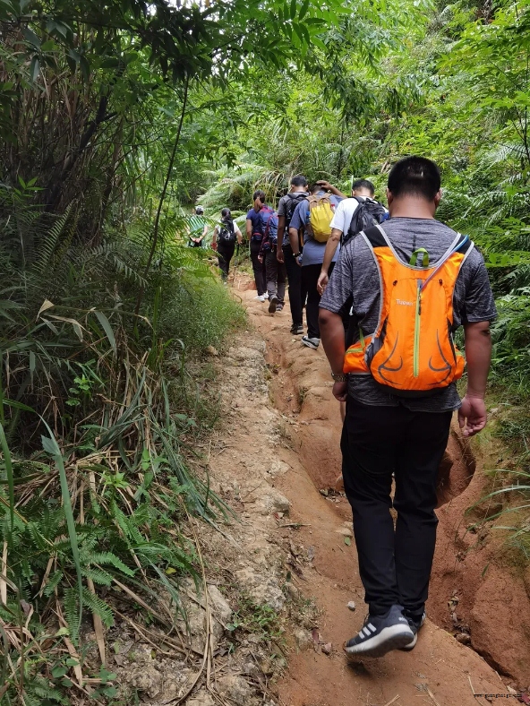 NG28·(南宫)相信品牌实力官网