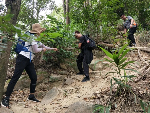 NG28·(南宫)相信品牌实力官网