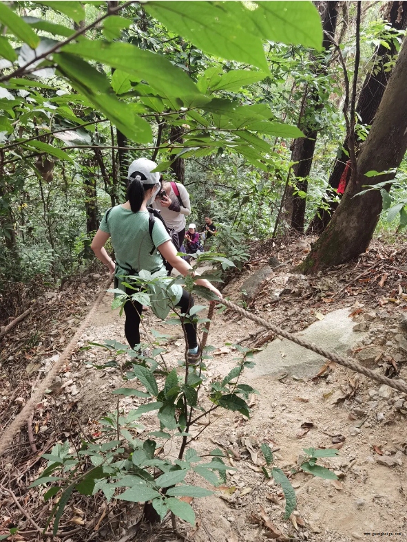 NG28·(南宫)相信品牌实力官网